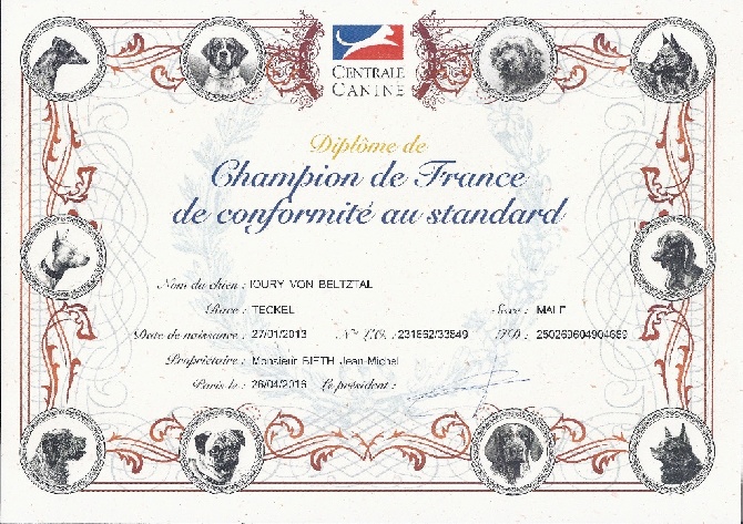 Von Beltztal - IOURY : diplôme de CHAMPION de FRANCE