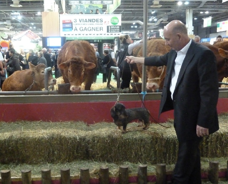 GINA AU SALON DE L'AGRICULTURE 2014