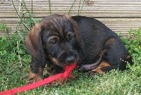 Oskar